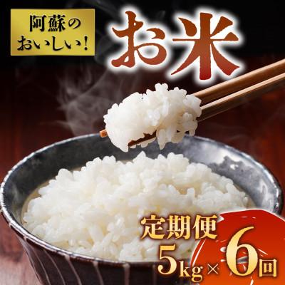 ふるさと納税 阿蘇市 【2ヵ月毎定期便】阿蘇の美味しいお米(白米)5kg全6回