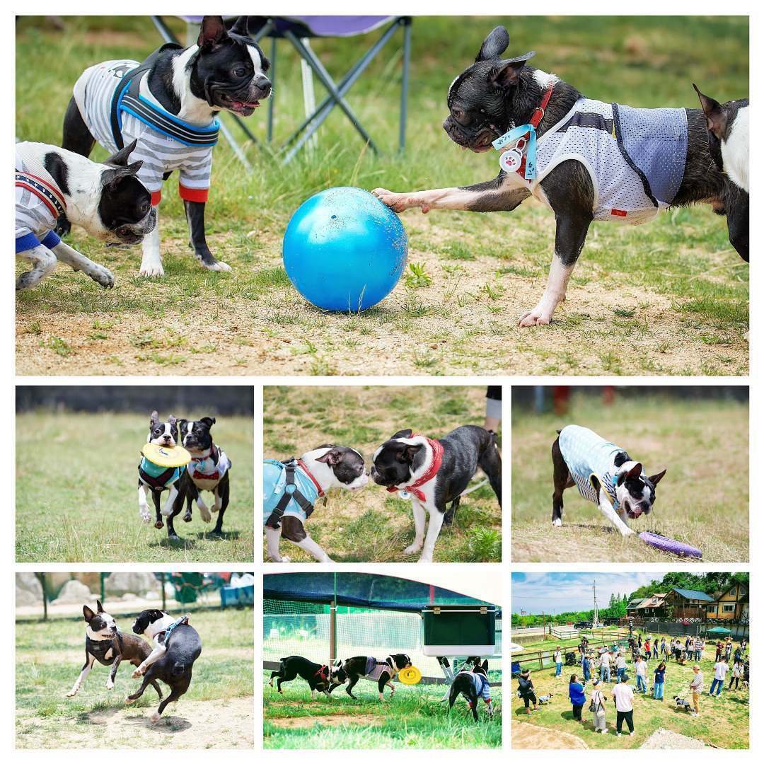 ゆいまーる淡路 宿泊利用券 15,000円分_イメージ2