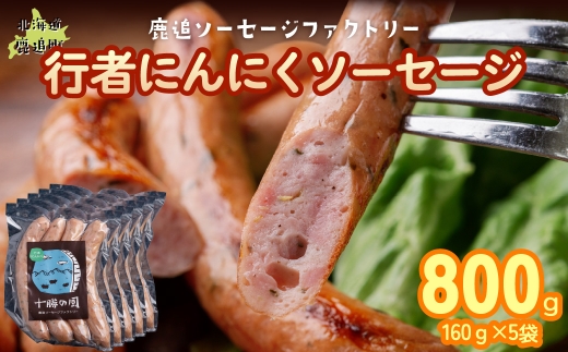 行者にんにく入りソーセージ 800g（160g×5） 【 ふるさと納税 人気 おすすめ ランキング 定期便 ソーセージ 行者ニンニク 国産豚肉 北海道 十勝 鹿追町 送料無料 】 SKD026
