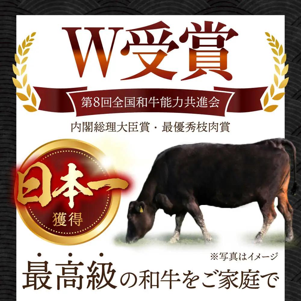  【12回定期便】【飛騨牛】切り落とし 総計6kg 〈1回あたり〉500g (250g×2) [TDC012] 切り落とし
