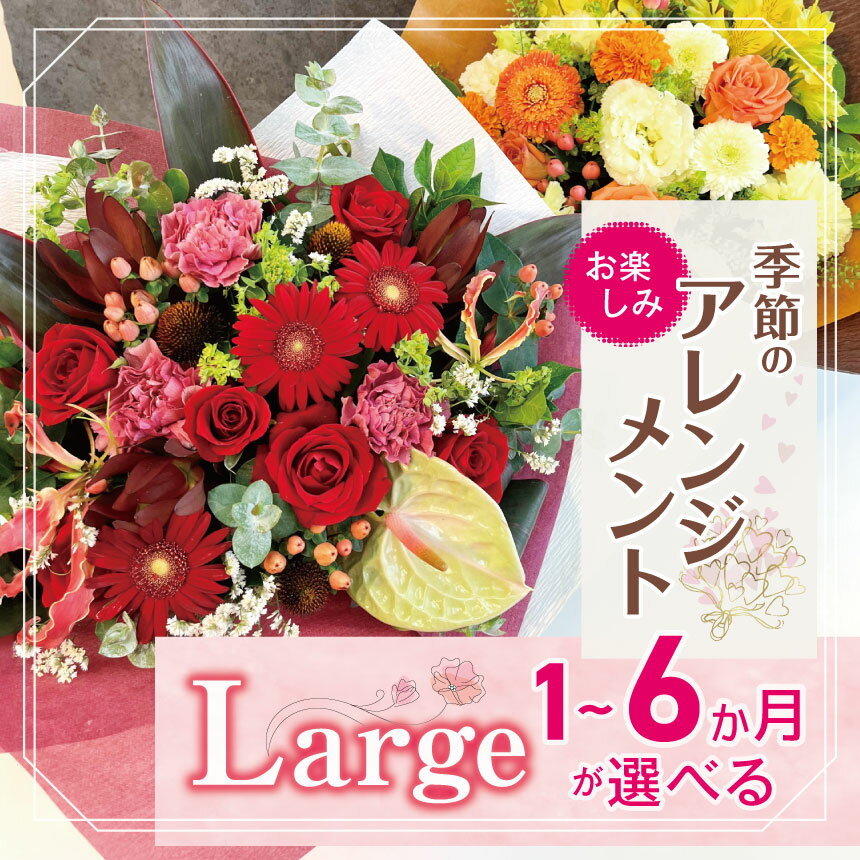 【ふるさと納税】定期便 も 選べる フラワー アレンジ 「Large」 お楽しみ 季節 の アレンジメント | アレンジ タイプ 高さ約42cm 幅約40cm お花 flower 花 リトルシード インテリア 植物 お任せ お見舞い ギフト お祝い 誕生日 親孝行 プレゼント贈り物 新鮮 調布 東京都