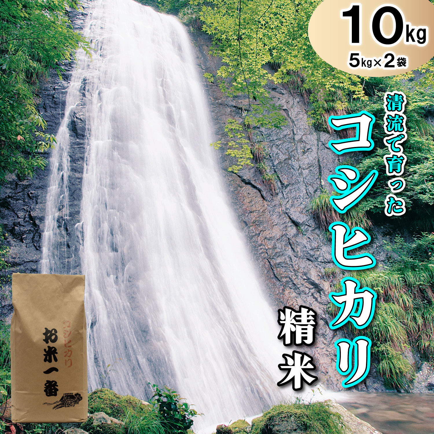 多可町加美区の清流で育ったコシヒカリ【精米】５kg×２袋