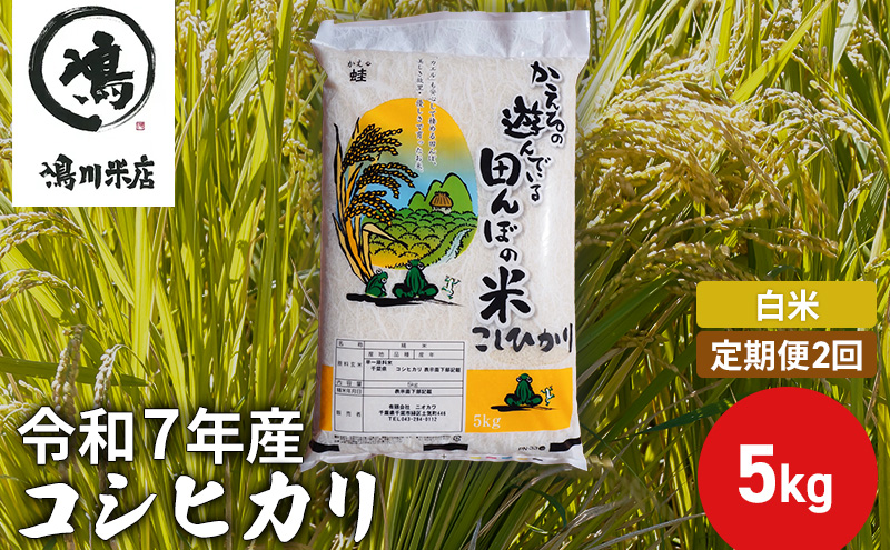【定期2ヶ月】新米　コシヒカリ　白米　5kg　令和7年産 お米 銘柄米 ご飯 おにぎり お弁当 和食 食卓 精米 国産 千葉県産 産地直送