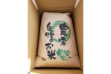 2025年産　京丹後産コシヒカリ 玄米10kg  ふるさと納税 米 お米 ご飯 ごはん コシヒカリ 国産 こめ ごはん 京都産 こしひかり 農家応援 生産者応援 送料無料