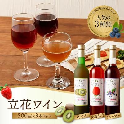 ふるさと納税 八女市 ワイン3本セット【あまおうワイン、キウイワイン、ブルーベリーワイン】