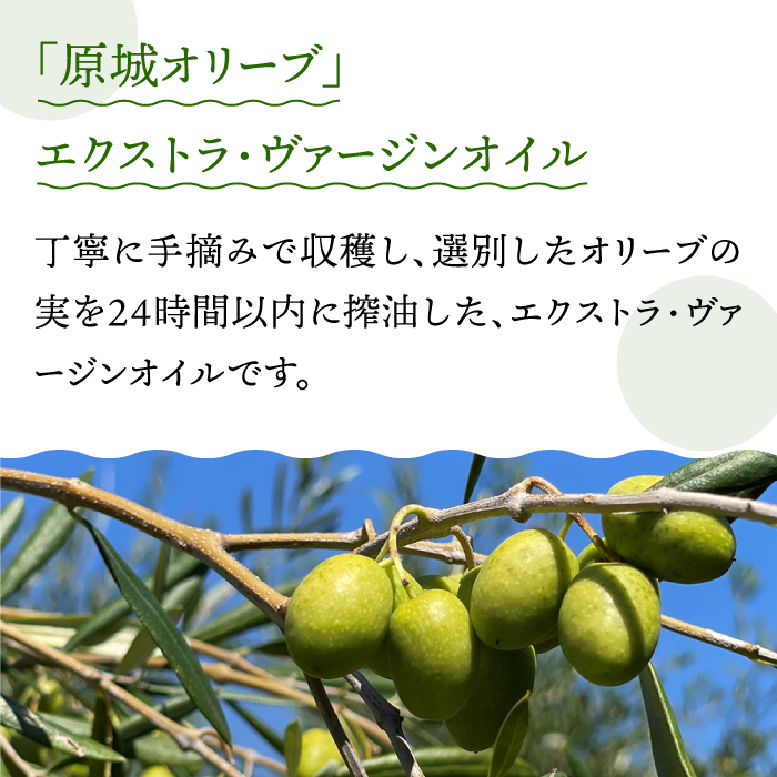 【3回定期便】 原城 オリーブ エクストラ・ヴァージンオイル  100ml 3本 / オリーブオイル オイル 油 調味料 / 南島原市 / ミナサポ [SCW057]