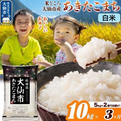 ふるさと納税 大仙市 米《3ヶ月》あきたこまち【白米】  令和7年産 10kg|22_ssn-011003