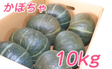 かぼちゃ 野菜 ブラックのジョー 中山農園 北海道富良野産 かぼちゃ【10kg】