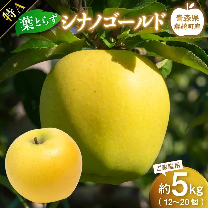 【先行予約】 葉とらず シナノゴールド 特A ご家庭用 約5kg (12～20個) 【グランドアップル】 青森りんご F41-0028