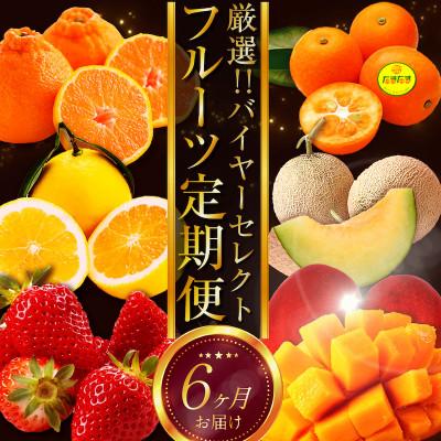 ふるさと納税 宮崎市 【発送月固定定期便】宮崎の旬なくだものをお届け!厳選くだもの定期便全6回
