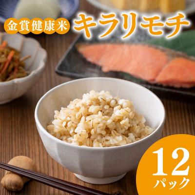 ふるさと納税 松原市 ご飯パック 金賞健康米 キラリモチ 120g×12個入り 国産 レンチン