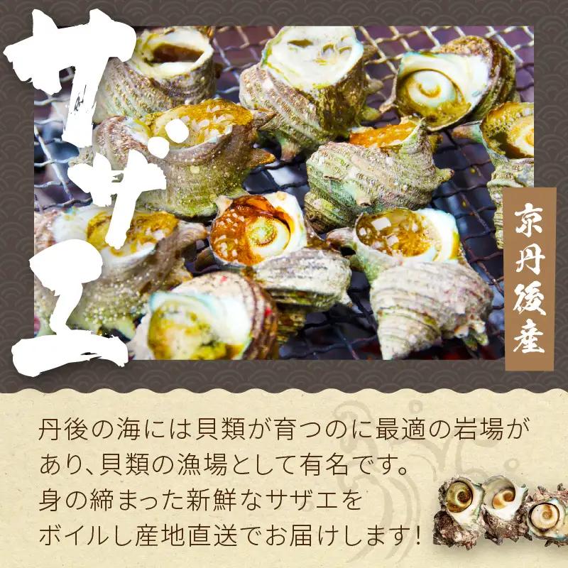 大満足！京丹後・海鮮BBQ　Fセット　豪華盛り合わせ　生ズワイガニ　アワビ付　7種23品（4～5人前）（2026年4月中旬～発送） 魚介類 さざえ 蠑螺 カキ かき かに カニ ずわい蟹 ズワイ蟹 バ