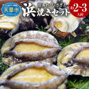 【ふるさと納税】【着日指定】 活きあわび アワビ さざえ 浜焼き セット 約820g 2〜3人前 魚介類 貝類 海の幸 活きたまま 旨味 格別 バーベキュー BBQ 刺身 おどり焼き バター焼き 天ぷら 海鮮 新鮮 海の幸 熊本県 天草市 お取り寄せ グルメ 送料無料