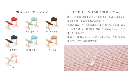 椅子 バランスイージー カバー付き 選べる カラー 椅子 ショートブラック＋ブラック