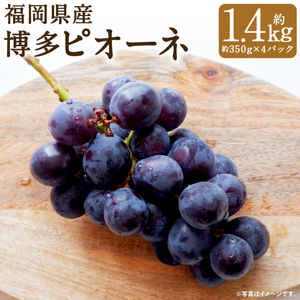 【ふるさと納税】福岡県産 博多ピオーネ 合計約1.4kg 約350g×4パック ぶどう ピオーネ 種なし 産地直送 筑後市 果物 フルーツ 九州産 冷蔵 送料無料 【2025年6月下旬～8月上旬に順次発送予定】