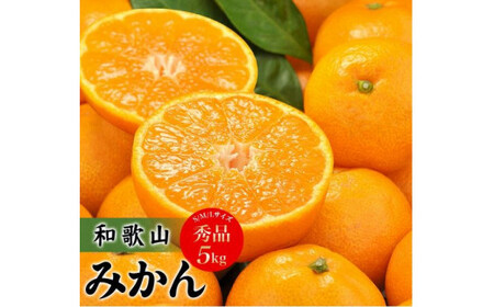 田村みかん　秀品5キロ　サイズおまかせ/紀伊国屋文左衛門本舗　◆2024年11月下旬～2025年1月中旬頃に発送予定(お届け日指定不可)＜予約受付＞【kstb301A】