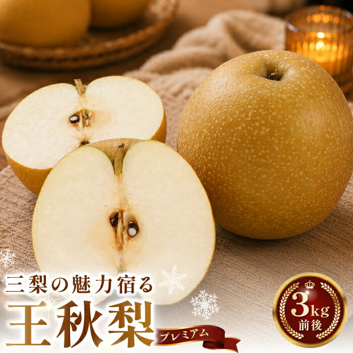 【ふるさと納税】プレミアム王秋梨3kg 梨 赤梨 王秋梨 おうしゅうなし 先行予約 期間限定 数量限定 なし ナシ 晩生種 果物 くだもの フルーツ 旬 厳選 プレミアム 高糖度 甘い 贈り物 ギフト お取り寄せ 産地直送 鳥取県　TS14