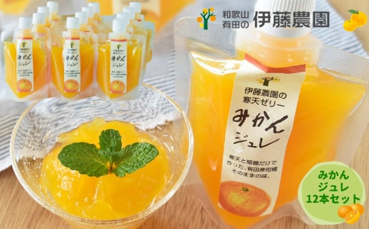 523. 伊藤農園 ピュアフルーツ寒天ジュレ ドリンクタイプ　温州みかん12本セット(A523-3)