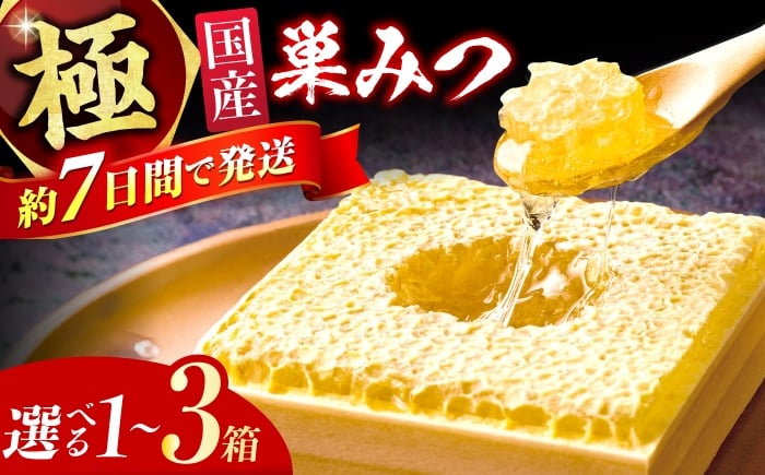 
                  【選べる箱数】極巣みつ 1箱～3箱 蜂蜜 はちみつ ハチミツ すみつ 巣蜜 蜂蜜 コムハニー 極上蜂蜜 濃厚蜂蜜 ギフト グリークヨーグルト アサイーボウル パンケーキ ソフトクリーム オシャレ スピード配送 贈答 ギフト 広川町 / 株式会社九州蜂の子本舗 [AFAI007]
                