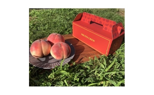 ＜桜色に輝く高糖度 さくら白桃＞本場山梨の品種指定キャンペーンお試し約1kg　8月中旬より順次発送【1704737】