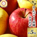 【ふるさと納税】《特選》 りんご 1品種おまかせ 5kg ( 配送時期が選べる ) フルーツ 果物 くだもの 林檎 5キロ 贈り物 ギフト 秋 旬 常温保存 青森県 五所川原市