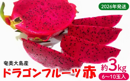 2026年発送【奄美大島産】ドラゴンフルーツ赤 約3kg（6～10玉入） 鹿児島県 奄美群島 奄美大島 龍郷町 国産 奄美産 青果 果実 果物 くだもの フルーツ デザート ピタヤ 火龍果 南国 トロピカル お取り寄せ 先行予約 期間限定 数量限定