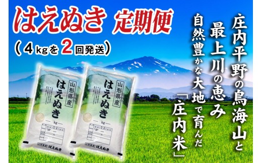 【2回定期便】令和7年産 ［精米］ はえぬき　4kg×2回(計8kg) SI SC0760