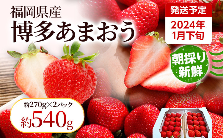 
【先行受付】農家直送 朝採り新鮮いちご【博多あまおう】＜1月下旬より順次発送＞ 約270g×2パック 福岡県産 苺 イチゴ 朝採れ 冷蔵 スイーツ ジュース ギフト プレゼント お土産 九州 福岡土産 ※北海道・沖縄・離島は配送不可
