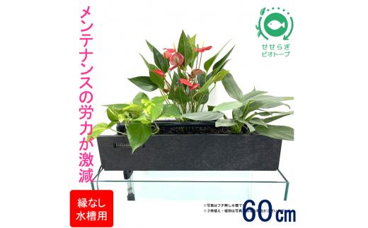 せせらぎビオトープ　60cm型ろ過装置・縁なし水槽用（※水槽はついていません）※2025年3月20日まで北海道への発送不可（低温で商品が枯れるため）