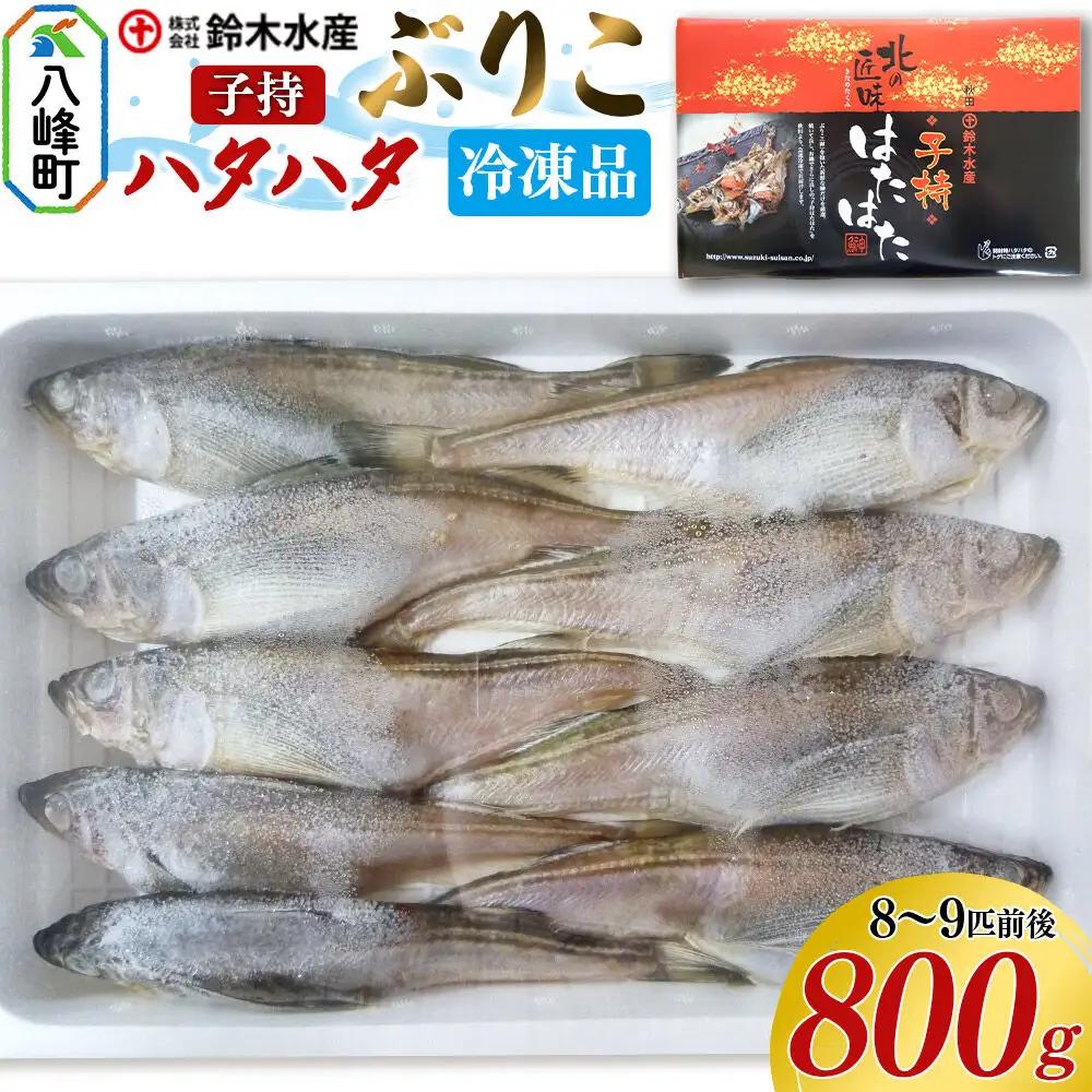 子持ち ハタハタ ブリコ ぶりこ メス 800g（8～9匹前後）冷凍品 はたはた 鰰 子持ちハタハタ 子持ちはたはた 鈴木水産 秋田県