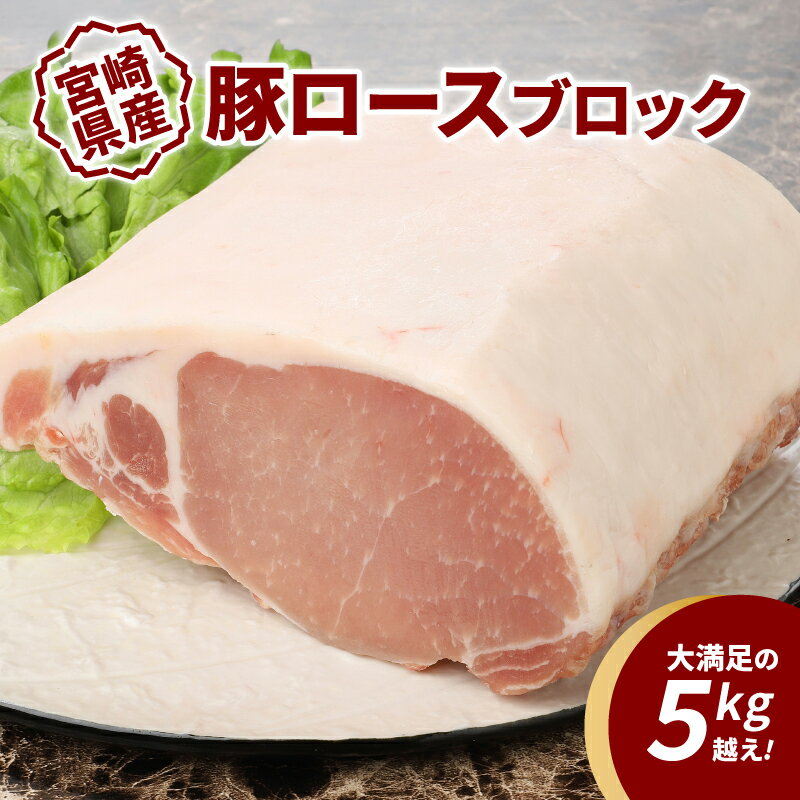 【ふるさと納税】【レビューキャンペーン中】宮崎県産豚ロースブロック 5kg越え - 国産豚肉 トンテキ/豚の角煮/トンカツ/ポークソテー ブロック肉 塊肉 5キロ かたまり肉 ロース肉 小分け キメが細かく柔らかな肉質 赤身 脂身 送料無料 【宮崎県木城町】