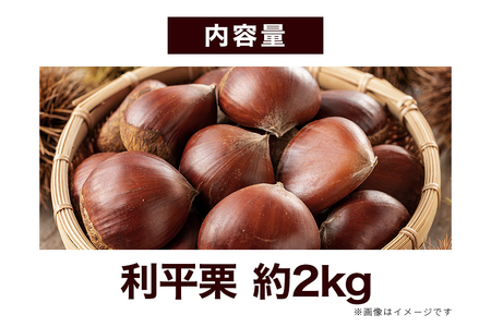 生栗 2kg 利平 栗 くり 国産  2L サイズ 以上 大きい 大粒 取り寄せ 笠間 茨城 和栗 甘栗 低温熟成 ギフト プレゼント 秋 旬 おやつ スイーツ 果物 フルーツ 焼き栗 栗ご飯 栗きん