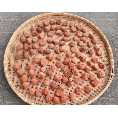 ふるさと納税 高野町 2025/6月より発送【梅干し・梅酒用】紀州和歌山の熟南高生梅　MorL-10kg |  | 01