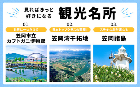 笠岡市 応援寄附 1口 30000円【返礼品なし】応援 寄附