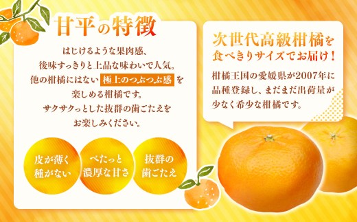 甘平 約2kg みかん ミカン 蜜柑 柑橘 柑橘系 柑橘類 くだもの 果物 フルーツ 果実 果汁 果肉 国産 愛媛県産 愛媛みかん かんぺい 果肉感 【2027年2月下旬-4月下旬発送予定】 ( 11