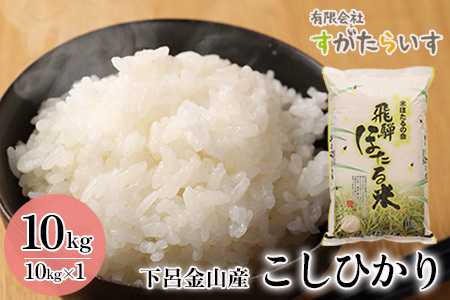 新米予約受付（2025年9月下旬頃から順次発送）【令和7年産米】こしひかり 10kg すがたらいす 2025年産 お米 米 精米 下呂市金山産 コシヒカリ【51-6】