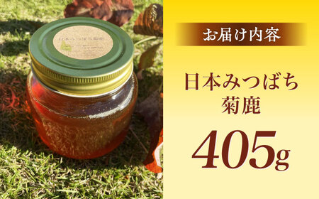 【先行予約】【数量限定】日本みつばち菊鹿約405g【山麓はっち】[ZBM010]