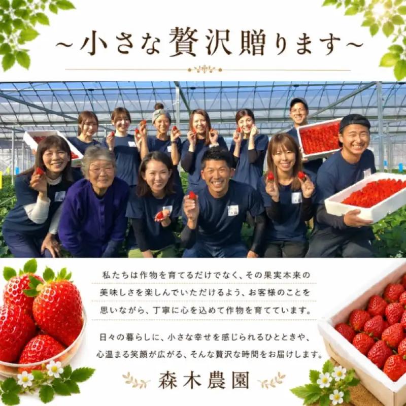 冷凍いちご きらぴ香 3kg 苺 冷凍いちご 【森木農園】