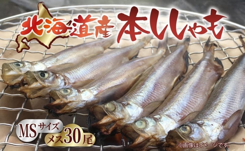 
            北海道産 阿部水産 ししゃも メス MS 30尾セット 本ししゃも 雌 メス たまご 卵 北海道土産 季節限定 ほくほく 子魚 無添加 クール便 冷凍 送料無料 北海道 日高町
          