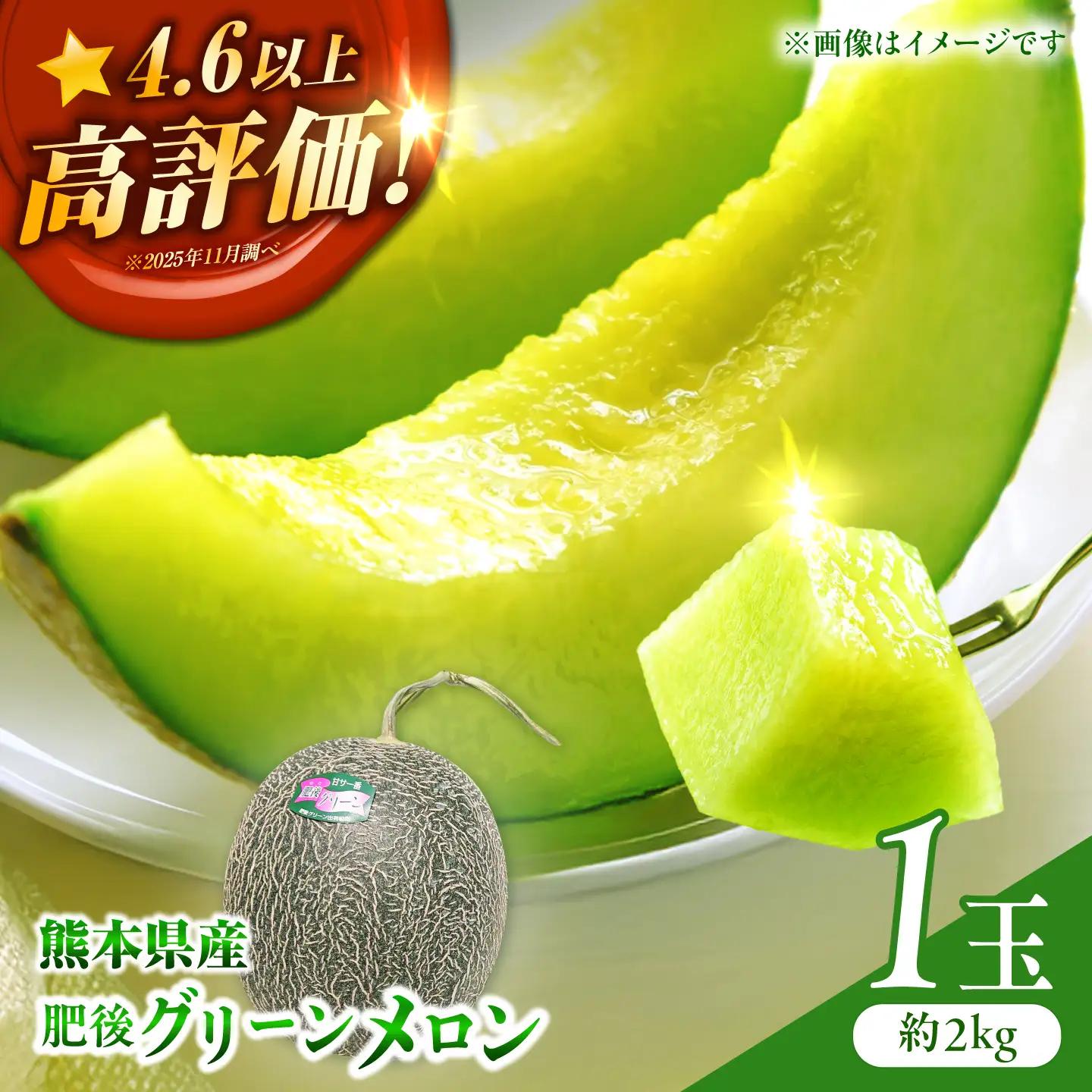 肥後グリーンメロン 1玉 計約2kg【合同会社 福福堂】[ZCN020]