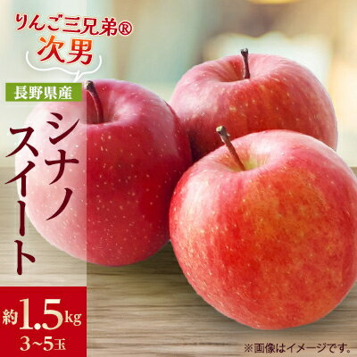 【ふるさと納税】【2025年発送】フルーツ王国　長野県産 りんご　シナノスイート　約1.5kg(3～5玉程度)_ りんご 林檎 果物 くだもの フルーツ シナノスイート 長野県 産地直送 送料無料 お取り寄せ ギフト 贈答 プレゼント 信州 【1541937】