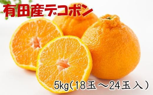 ［お味濃厚］紀州有田産のデコポン約5kg(18玉～24玉入り・青秀以上)★2027年2月中旬頃より順次発送［TM26］