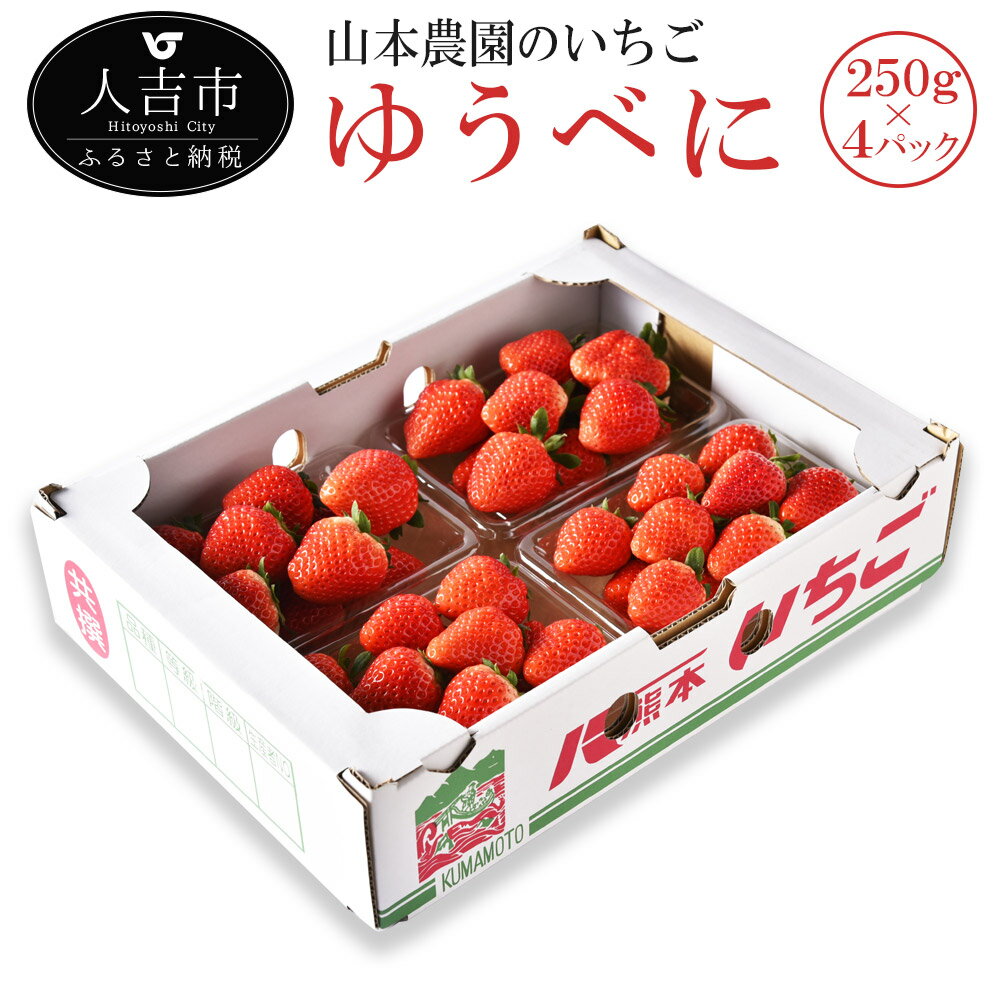【ふるさと納税】山本農園のいちご ゆうべに 約250g×4パック 苺 イチゴ 国産 九州産 熊本県産 果物 フルーツ 送料無料【2025年11月下旬より順次発送予定】