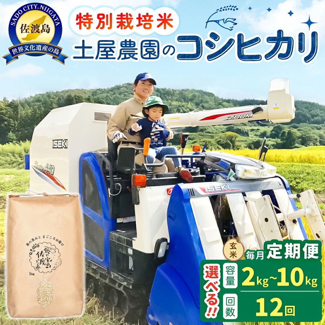 【ふるさと納税】【12か月定期便】米 玄米 コシヒカリ 2kg 5kg 10kg 選べる 令和8年産 特別栽培米 土屋農園 佐渡島産 こしひかり 農家直送 ごはん おにぎり 新潟県 佐渡市