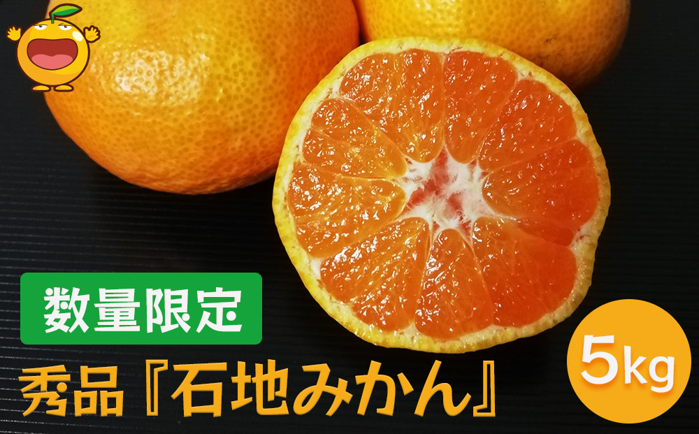 【先行予約】秀品 石地みかん 5kg  ミカン オレンジ 蜜柑 フルーツ 旬 果物 くだもの 大分県産 九州産 津久見市 国産【tsu002801】