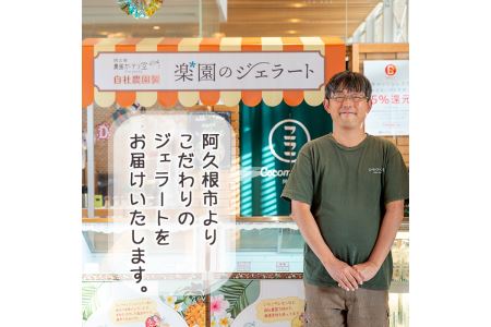 農園ガーデン空楽園のジェラートセット(90ml×6個) ジェラート アイス いちご いちごミルク レモン ブルーベリー 不知火 抹茶 デザート スイーツ おやつ 夏 鹿児島 バラエティ【農園ガーデン空