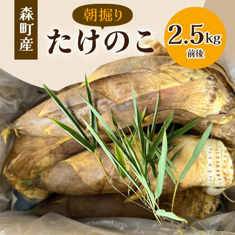【ふるさと納税】【3月下旬より順次発送】森町産朝掘りたけのこ2.5kg前後 たけのこ 筍 タケノコ 春の味覚 こだわり 朝堀り 当日出荷 かぐや姫 甘い 静岡県 森町 2026　お届け：2026年3月25日～2026年5月5日