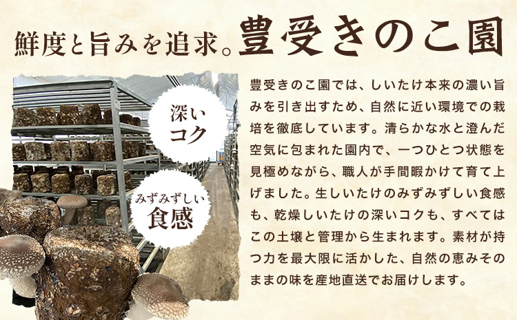 きのこ 椎茸 しいたけ 乾燥しいたけセット スライス 《30日以内に出荷予定(土日祝除く)》 LifeSS株式会社 乾燥 椎茸 シイタケ 千葉県 我孫子市
