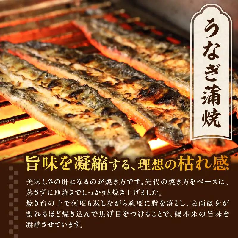 【敬老の日ギフト】 うなぎ料理入舟 蒲焼3尾＋鰻山椒煮 ≪9月21日お届け≫ E07007-K