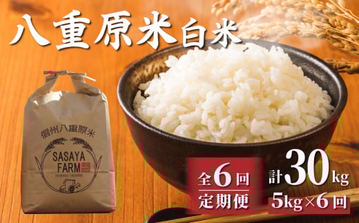 令和7年新米予約【6回定期便】八重原米5kg（5kg×1袋）白米　※2025年10月以降順次発送｜笹屋農園